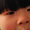 -红尘易梦的头像