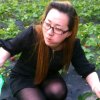 人生如戏的头像