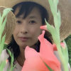 一帆风顺的头像