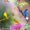 快乐人生的头像