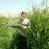 春暖花开的头像