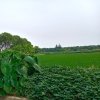 竹子的头像