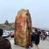 呆子的头像