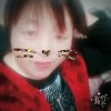 贵夫人的头像