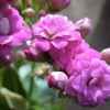 人生如梦的头像