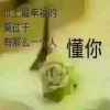 华丽陶瓷的头像