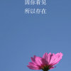 回眸(赠人手留余香)暂退出k歌！的头像