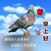 加油小霞的头像