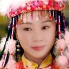记忆的头像