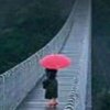 芮芮的头像