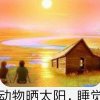 太阳的头像