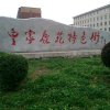 鹿乡人的头像