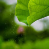 晨轩雨的头像