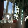 清风的头像