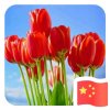 红围巾的头像