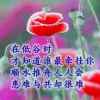 兴仔的头像