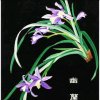 深谷幽兰的头像