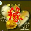 鸿运当头的头像