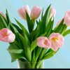 《春暖花开》的头像