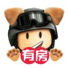 **非梧不栖**的头像