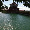 缘来是你的头像