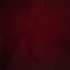 人生如梦的头像