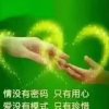 开心果的头像