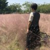 瑞香的头像