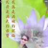 花雨的头像