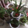 ~ 风范的头像