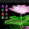 云的头像