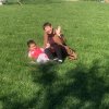 幸福辣妈的头像