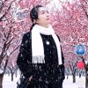 凤尾竹的头像