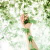 天山雪莲的头像