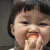 傲雪:梅的头像