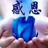 静心【感恩】的头像