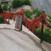 静的头像