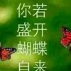 超越梦想的头像