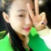 杨的头像