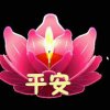 深情不及久伴的头像