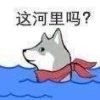 故人——糖宝的头像