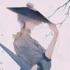 の白先森.的头像