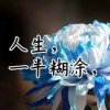醒悟的头像