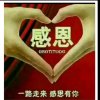 燕子的头像