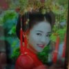 聆听未来的头像