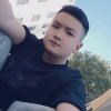 呆呆的头像