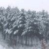 泡沫人生的头像