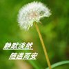 缘份的头像