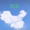 白云的头像