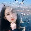 阳光的头像